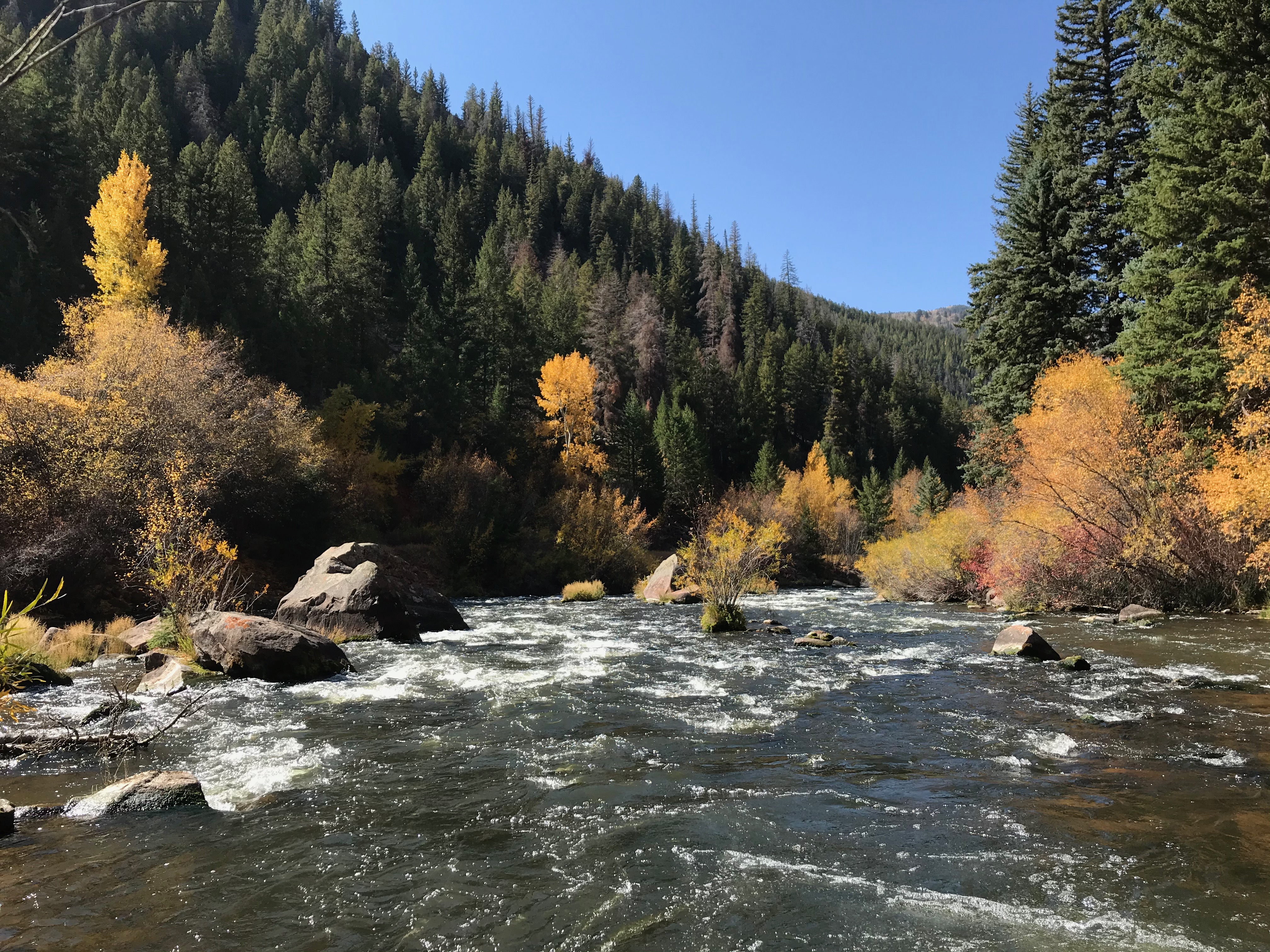 Frying Pan River